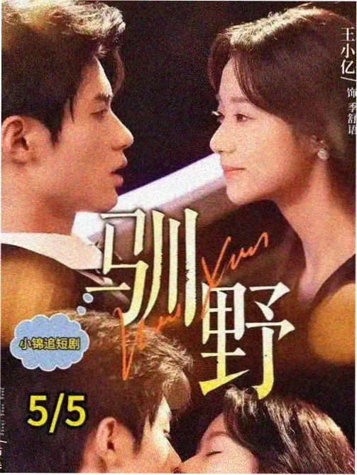 南方影展冷门片单